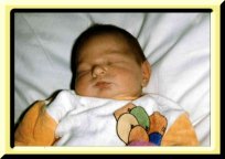 cindybb